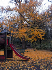 An Autumn day on the playground with a carpet of yellow leaves.