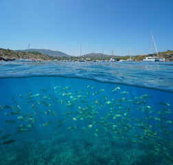 Mediterranean sea coastline with moored boats in summer and fish school underwater, split view half above and below water surface, Spain, Cadaques, Portlligat, Costa Brava, Catalonia