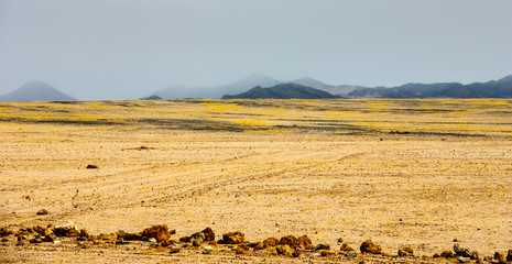 Fototapeta na wymiar Kolmanskuppe, aslo known as Kolmanskop, a diamond mining ghost town on the Skeleton Coast of Namibia.