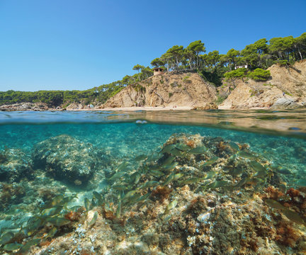 Mediterranean coast in Spain with a shoal of fish underwater sea, split view half above and below water surface, Cala Bona, Palamos, Costa Brava