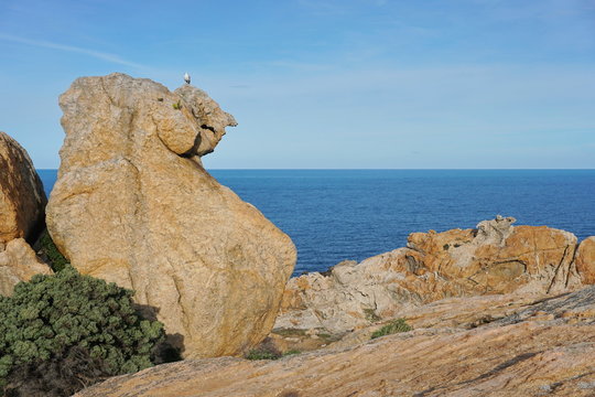 Rock formation with the Mediterranean sea in background, Cap de Creus natural park, El Camell del Pla de Tudela, Spain, Costa Brava, Catalonia