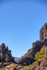 Fototapeta premium Teneriffa