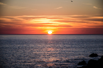 Fototapeta premium Sun setting on the blue sea
