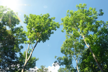 Landschaft 654