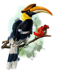 The hornbill sitting on a branch - 237527367