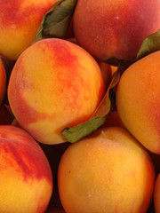 Fototapeta na wymiar Beautiful peaches close-up.