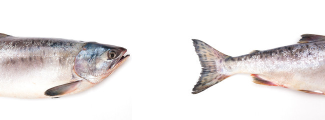 fish head and tail on white background
