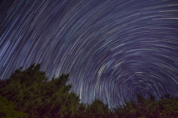 Night Trail Pine Forest Stars