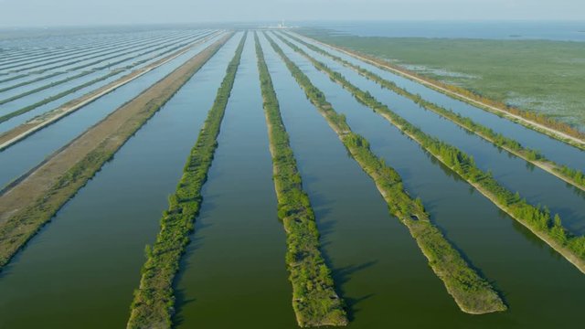 Aerial view of water nurseries for fish mollusc and crustacean larvae that require sheltered environment Florida 