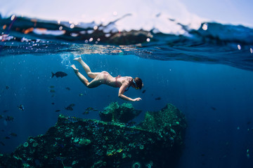 Woman free diver dive in the tropical ocean at shipwreck