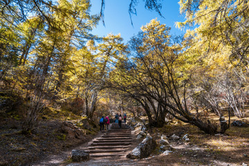 Hiking people in the mountains.