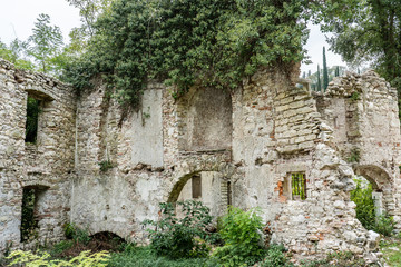 old ruins in the forest are slowly overgrown
