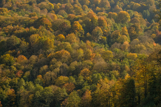 Nature and mountain landscapes of Sochi and Rosa Khutor mountain resort, autumn colors