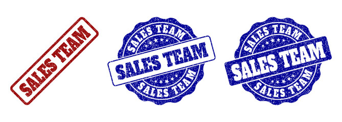 SALES TEAM grunge stamp seals in red and blue colors. Vector SALES TEAM labels with scratced texture. Graphic elements are rounded rectangles, rosettes, circles and text titles.