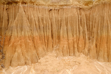 soil wall in nature with floor