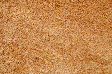 Red Dirt Road texture