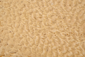 crack ground in dry season