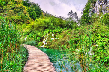 Fototapeta premium Wooden pathway above water at Plitvice National Park in Croatia