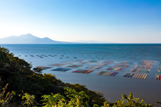 海苔ひび Photos Royalty Free Images Graphics Vectors Videos Adobe Stock