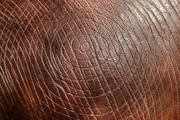 Textured stucco