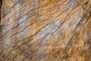dry wood cracked pattern