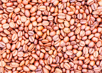 Coffee beans brown background - copy space for text