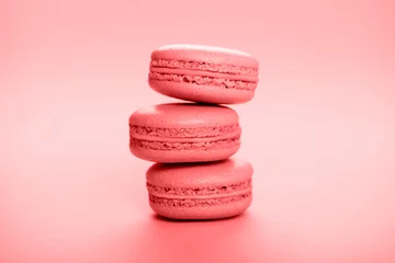 Lebende Korallenmakronen auf rosa Hintergrund. © Margo Basarab