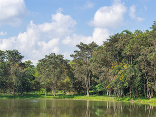 Natural lake with forest in the background and clouds on the sky.