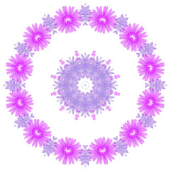 Fototapeta na wymiar round of purple flowers, design element