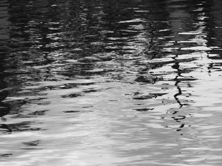abstract black and white wave water texture,background