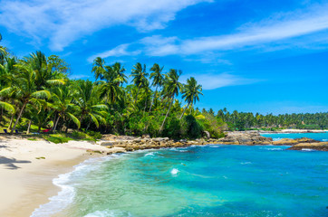 Plakat Tropical beach background with palm trees