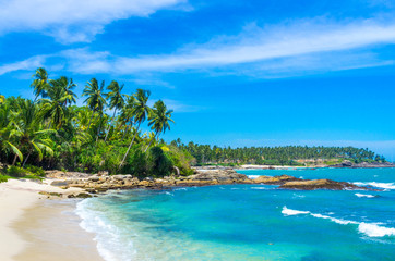 Obraz na płótnie Canvas Tropical beach background with palm trees