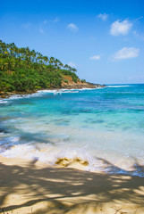 Fototapeta premium Tropical beach background with palm trees