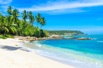 Fototapeta na wymiar Tropical beach on a Sri Lanka's coast, coconut palms, white sand and the azure ocean. Beautiful tropical landscape