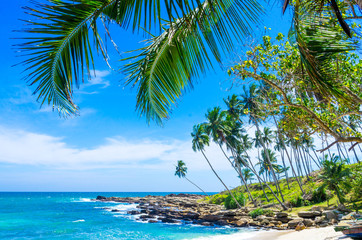 Tropical beach on a Sri Lanka's coast, coconut palms, white sand and the azure ocean. Beautiful tropical landscape