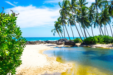 Tropical beach on a Sri Lanka's coast, coconut palms, white sand and the azure ocean. Beautiful tropical landscape