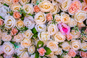 rose flowers background,flowers for wedding