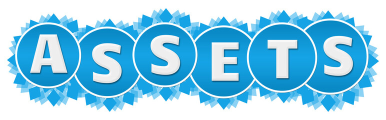 Assets Blue Circular Floral Circles 