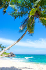 Tropical beach on a Sri Lanka's coast, coconut palms, white sand and the azure ocean. Beautiful tropical landscape