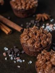 Chocolate cake muffin with cocoa creme on dark moody background. Homemade recipe cooking and baking.