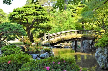 Bridge in japanese garden