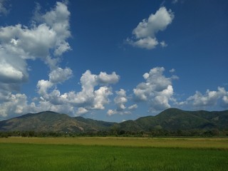 Obraz premium Rice paddy fields and mountains behind the clouds covered the sky. 