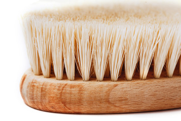 Macro photo of cactus fiber brush isolated on white.