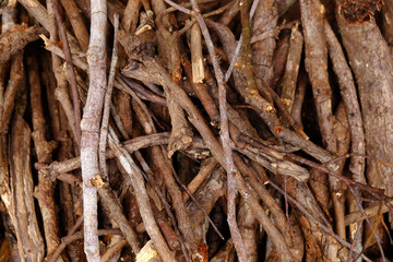 Pile of tree branches composition as a background texture