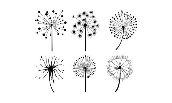 Vector set of 6 dandelions in linear style. Flower with fluffy seeds. Floral theme