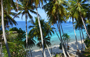 Pristine beach in Pulau Weh, Indonesia. Turquoise water of the Indian Ocean and tall palm trees. Perfect paradise.