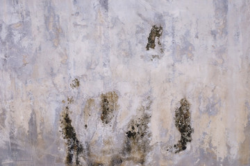 Aged cement wall texture with mold