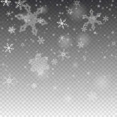 Vector snowfall, snowflakes of various shapes. Many white cold flaky elements on transparent background. White falling fly in the air.