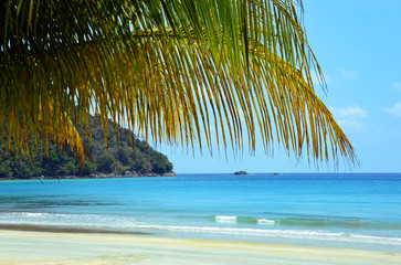 Fototapeta na wymiar Stunning sandy beach and palm tree leaves in paradise. Turquoise water. Pulau Tioman, Malaysia