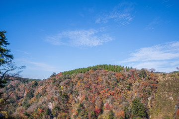 Kuju mountain (Kuju Renzan) around Kokonoe Yume Suspension Bridge (otsurihashi), the most highest suspension bridge for walkway in Japan.